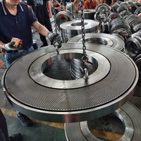 Pièces de rechange pour moulin à granulés de bois et machine à granulés de biomasse à sciure de bois, en acier X46Cr13 52-54, haute résistance à l'usure, pour moteur à roulement à billes et matrice plate 39-1000