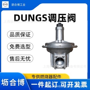 Livraison directe de la vanne de réduction de pression allemande Dungs FRS5040, vanne de régulation de pression de gaz, Lihebo propose un choix de modèles gratuit. - Product Image 5