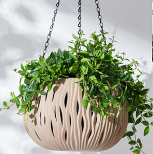 Panier et <span class=keywords><strong>pot</strong></span> suspendus créatifs en gros pour orchidées et plantes de <span class=keywords><strong>lierre</strong></span> vert Décoration d'intérieur - Product Image 6