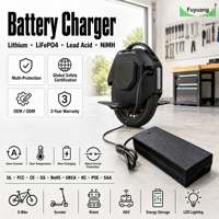 Chargeur de batterie au lithium 36V 42V 48V 60V 72V 84V 2A 3A 5A 10A 20A pour trottinette électrique, vélo électrique, planche à roulettes électrique