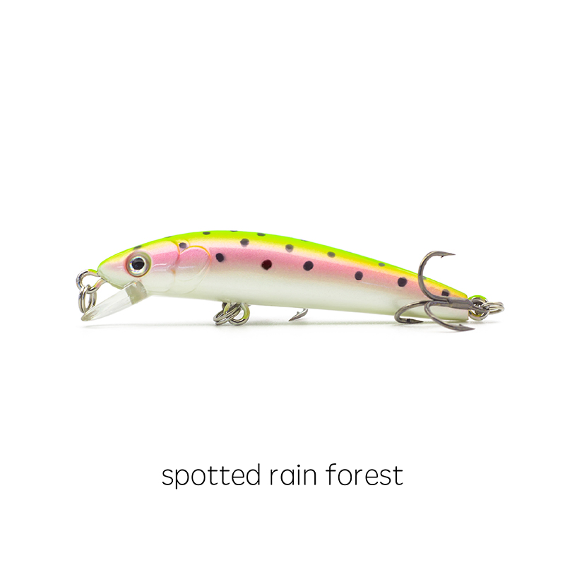 Forêt tropicale tachetée