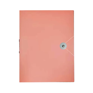 Classeur de collection de posters <span class=keywords><strong>A0</strong></span> à feuilles mobiles, personnalisé, avec 10, 20 ou 30 pochettes transparentes pour affichage de pages - Product Image 3
