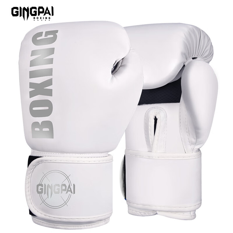 Gp boxing  silver