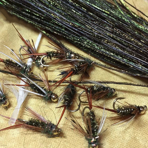 Plumes de paon naturelles en gros de 6 à 8 pouces, enfilées, pour nymphes Prince, attracteurs Steelhead, mouches Buggers et mouches traditionnelles. - Product Image 2