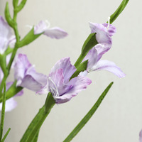 Fleurs artificielles en plastique en gros, Gladiolus, style nordique, pour la décoration de la maison, de la chambre et du salon, ornements de photographie