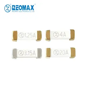 10.3*3.2*3.2mm SMD Fuse 100mA 250mA 500mA 1A 2A 3A 4A 5A 6A 8A 10A 15A 20A 30A 40A 50A 60A Fast Slow Blow Ceramic Fuses IEC