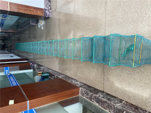 Philippines Style Offre Spéciale Rong Bay Piège De Pêche Cage De Pêche Dragon Bubu Crevettes Piège avec 23*38CM 31 Cadre 9 Mètres 5kg - Product Image 5