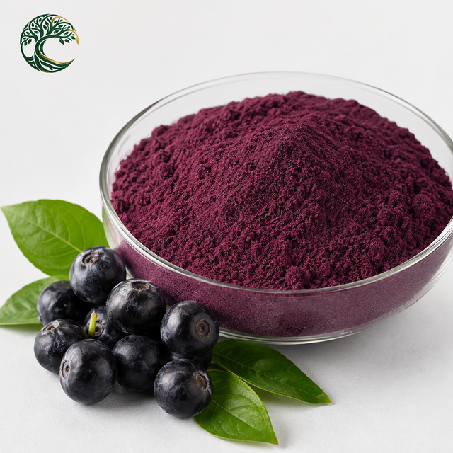 Bulk Freeze Dried Acai Berry Powder Water Soluble Purple Red Acai Fruit Powder for Food Beverage