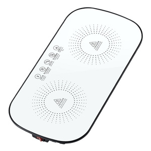 All-in-one Food <strong>Warming</strong> <strong>Trays</strong> Portable Quick Heat Tempered Glass <strong>Tray</strong> Rice Electric Heating Vegetable Pad Thermal Plate - Product Image 1
