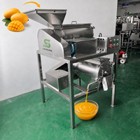 Hoge capaciteit dubbelkanaals mango-pulpermachine voor het schillen van hele vruchten en precisie pulpverfijning