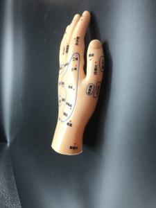 การฝังเข็มการนวดฝั<span class=keywords><strong>ง</strong></span>เข็มการแพทย์แผนจีนการเรียนการสอนทา<span class=keywords><strong>ง</strong></span>การแพทย์ขอ<span class=keywords><strong>ง</strong></span>มนุษย์โมเดลหูเท้า - Product Image 6