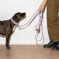 Ensemble quatre pièces pour poitrine et dos d'animal de compagnie : Collier et laisse en PVC pour chien, Harnais tactique pour poitrine et dos pour empêcher les évasements