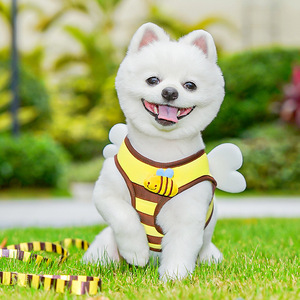 Harnais pour chien à thème abeille avec laisse pour petits chiens, style dessin animé mignon, matériau en polyester, utilisation en extérieur - Product Image 3