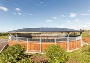 Marcheur de chevaux professionnel abordable <span class=keywords><strong>à</strong></span> vitesse variable Machine <span class=keywords><strong>d</strong></span>'entraînement équine <span class=keywords><strong>à</strong></span> vitesse réglable avec ou sans toit - Product Image 5