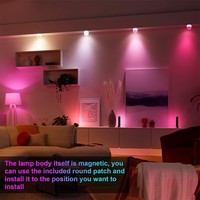 Ampoule LED rechargeable personnalisable avec télécommande et minuterie, 3 CCT RGB, intensité variable, fixation magnétique, veilleuse, ampoules LED E27 E26 pour la maison