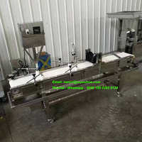 Machine de production coréenne pour gâteaux au riz, g, ligne de production entière