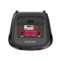 Altavoz Bluetooth de 100W RMS con Certificación CE y RoHS, Bajo MOQ, Venta al Por Mayor, Molde Privado, OEM, ODM, Logotipo Personalizado, Caja Colorida, Fabricante