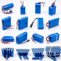 Batterie au lithium-ion 18650 personnalisée 3,2 V 15 Ah 2600 mAh 3000 mAh, pack de batteries Li-ion rechargeables LFP avec certifications KC/CB/RoHS/FCC