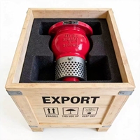 Vanne de fond en fonte ductile H42X PN16 anti-retour pour pompe de conduite d'eau – Approvisionnement direct usine