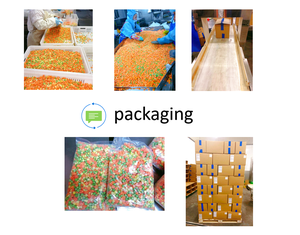 ผักรวมแช่แข็งหั่นสี่เหลี่ยมลูกเต๋าแครอทถั่วเขียวข้าวโพดหวาน - Product Image 5