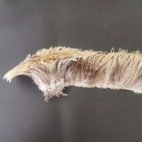 Plumes de grison en gros, couleur naturelle, pour la fabrication de mouches de pêche, costumes de carnaval et accessoires