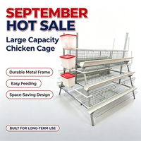 Cage à poules pondeuses automatique de type A, cage en batterie 3/4 niveaux, 96-160 oiseaux pour ferme africaine