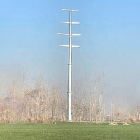 La transmission en acier galvanisée électrique octogonale Polonais 30FT 40FT lignes électriques aériennes Polonais domine
