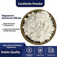 Poudre de Cordierite de Qualité Céramique, Poudre Minérale de Haute Pureté pour Matériaux Réfractaires et Céramiques