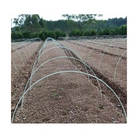 Tiges en fibre de verre flexibles de longueur personnalisée pour les cerceaux de soutien de petits tunnels de serres et de jardins potagers