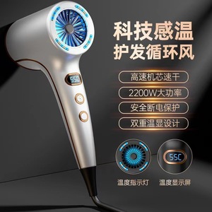 Sèche-cheveux haute vitesse pour la maison et le salon Lumière bleue Ion négatif Protection à température constante Vent chaud et froid Produit transfrontalier - Product Image 3
