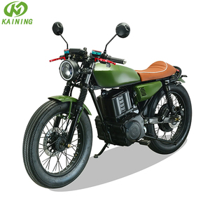 Motocicletta Elettrica 2000W con Pneumatici Larghi, Stile Retrò, Batteria agli Ioni di Litio Rimovibile, Supporto OEM - Product Image 1