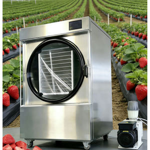 Machine de lyophilisation domestique compacte de bureau en acier inoxydable avec pompe à vide pour la conservation des aliments - Product Image 1