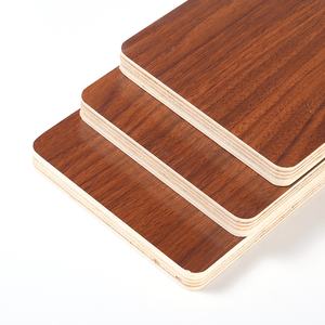 Contreplaqué en bois massif écologique, plaqué et enduit, 15 mm, pour armoires et placards, résistant aux taches - Product Image 6