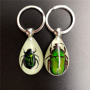 LLavero de insecto ámbar luminoso para hombres y mujeres Nuevo diseño Resina Animal Espécimen Joyería - Product Image 5