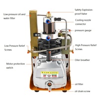 DIDEEP Modèle 009 Compresseur Électrique Submersible en Acier pour Respiration Sous-Marine, Rapide, Inodore, Haute Pression 40Mpa 220V 1800W