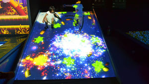 Imprescindible para Parques Infantiles y Castillos Inflables - Toboganes Interactivos de Luz y Sombra - Product Image 5