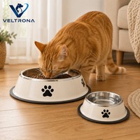 Ensemble de 3 bols pour animaux de compagnie en acier inoxydable avec motif de patte, base antidérapante, bol pour nourriture et eau pour chats et chiens
