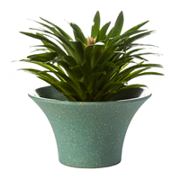 Pot de fleurs succulente Cactus de grande taille, plat coloré, style nordique, avec plateau
