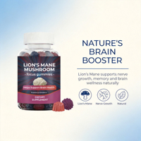 Permen Kunyah Jamur Lion's Mane OEM, Rasa Stroberi & Blueberry, Suplemen Diet untuk Kesehatan Otak & Dukungan Kognitif