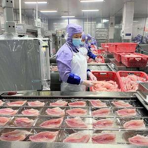 Filete de Tilapia Congelado |   Filete de Pescado Procesado y Limpio |   Suministro Confiable para Restaurantes y Distribuidores - Product Image 1