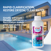 Clarifiant enzymatique 1L Liquide pour piscine Clarification rapide Eau cristalline Filtration piscine et spa Vente en gros OEM ODM Usine