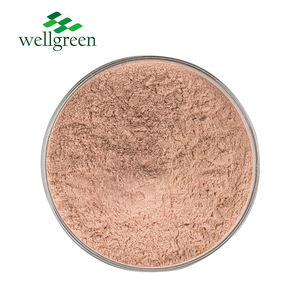 Wellgreen-Polvo de ciruela ahumado Natural, concentrador de fruta, polvo de ciruela ahumada - Product Image 1