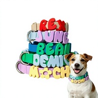 Collier pour chien Lemonjoy moderne et élégant en PVC solide, résistant aux taches et imperméable, avec lettres et breloques personnalisées, vente en gros