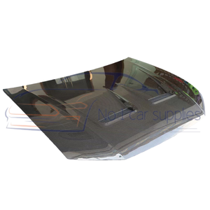 Capucha de fibra de carbono seca estilo MS para Q5 <span class=keywords><strong>e</strong></span>-<span class=keywords><strong>tron</strong></span> <span class=keywords><strong>2022</strong></span>-2023 - Product Image 5