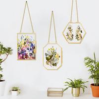 Cadre photo en laiton et verre fait main, vintage, double face, pour accrocher au mur, pour plantes, spécimens, art, décoration