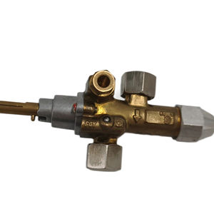 SINOPTS commerciale accessori da cucina forno, Grill, sostituzione antideflagrante PEL 21S valvola di controllo del Gas - Product Image 1