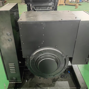 300～400KVAカスタマイズ可能なオープン型ディーゼル発電機、ファラデーオルタネーター - Product Image 3