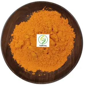 최고의 가격 고품질 심황 추출물 나노 Curcuma Curcumin 95% 추출물 분말