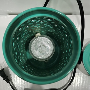 Tuyền Châu Elong Sáp Nóng Chảy Bán Buôn Nến Ấm Hơn Scentsy - Product Image 2