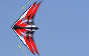 붉은 구름 스턴트 연과 180cm 좋은 품질 듀얼 라인 스턴트 연 - Product Image 5